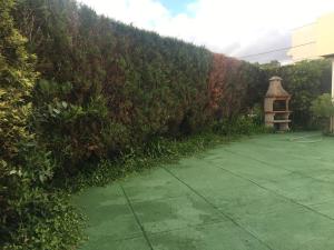Jardim de Moledo