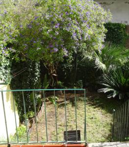Jardin d'Olisipo - Centre Ville