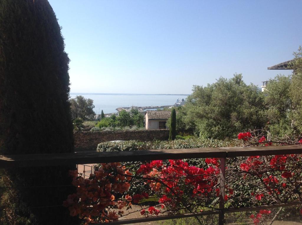 Jardins En Ville ROUTE DU FORT DE TOGA LES JARDINS EN VILLE, 20200 Bastia