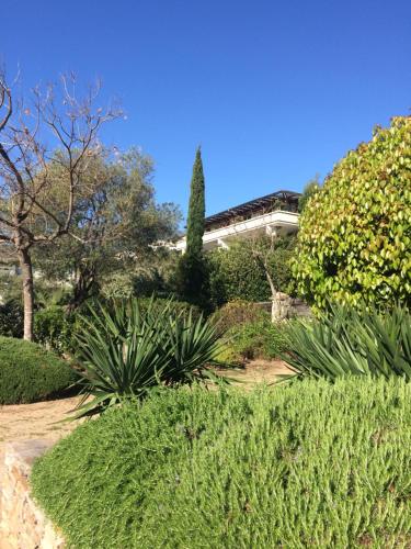 Jardins En Ville