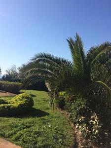 Jardins En Ville