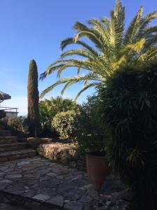 Appartement Jardins En Ville ROUTE DU FORT DE TOGA LES JARDINS EN VILLE 20200 Bastia Corse