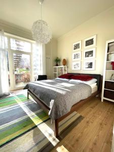 Appartement JETHON Studio-Appartement im Grünen Annenstraße 23 Erdgeschoss 06406 Bernburg Saxe-Anhalt