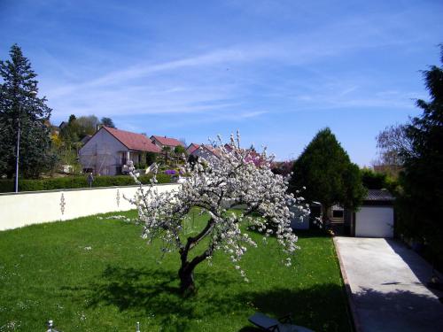 Joigny Appartement