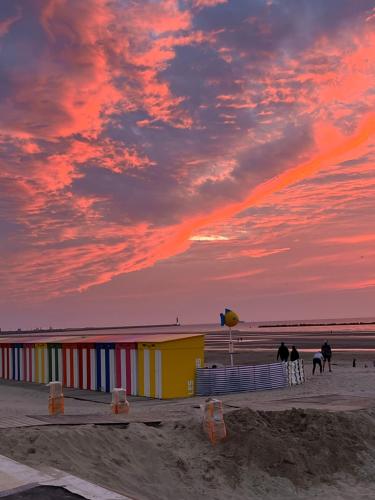 Joli 2 pièces au cœur de malo proche de la plage ,la Maison Bleue