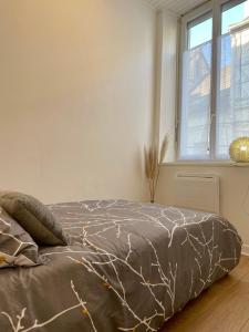 Joli appartement au coeur de ville