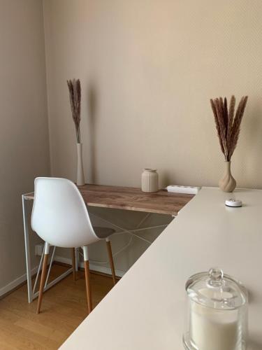 Joli appartement en plein centre