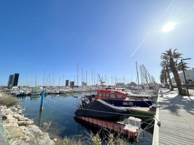 Joli appartement face au port, accès direct plage 4RP17 17 résidence du port Entrée Calypso, 66420 Le Barcarès