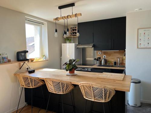 Joli appartement proche jardin public-Chartons
