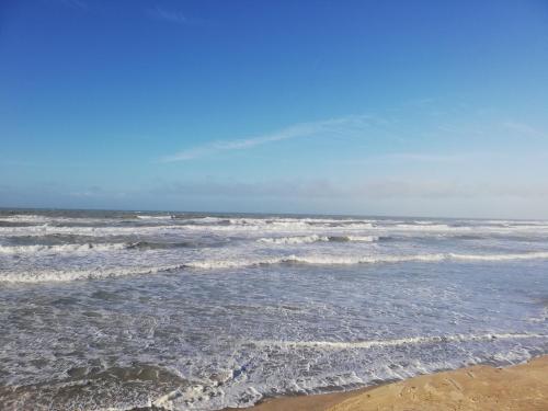 Joli appt cocooning au pied des dunes