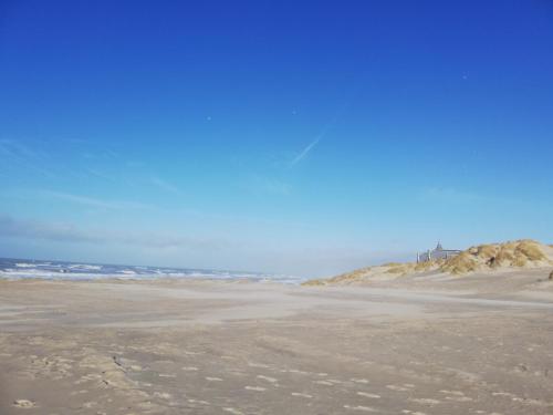 Joli appt cocooning au pied des dunes