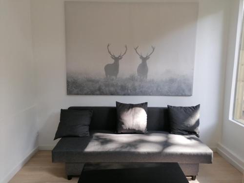Joli F2 avec jardin