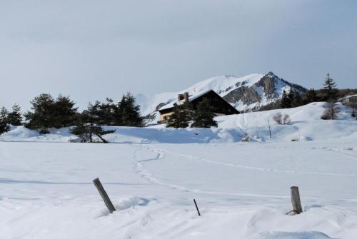 Joli Studio à la Montagne