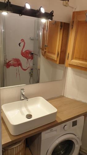 Joli studio cabine en RdJ Port Camargue Plage Sud