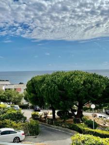 Joli studio cosy de 31 M2 Bord de mer Accès PMR 4Personnes