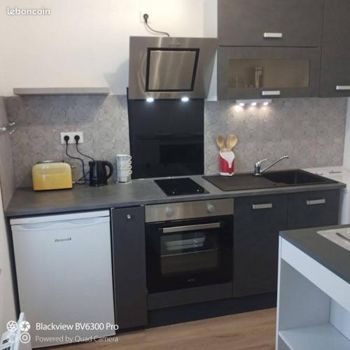 Joli STUDIO MEUBLE 16m2 avec terrasse 10m2