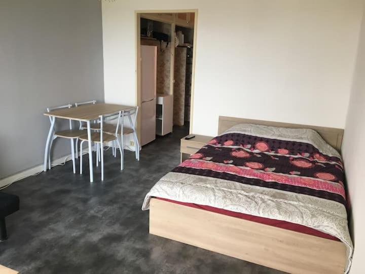 Appartement Joli studio proche des châteaux et du parc de Beauval 11 avenue d'Eltville 41400 Montrichard