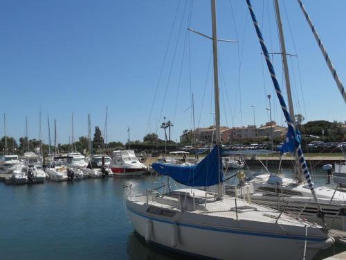Joli T2, 4 pers, piscine, parking