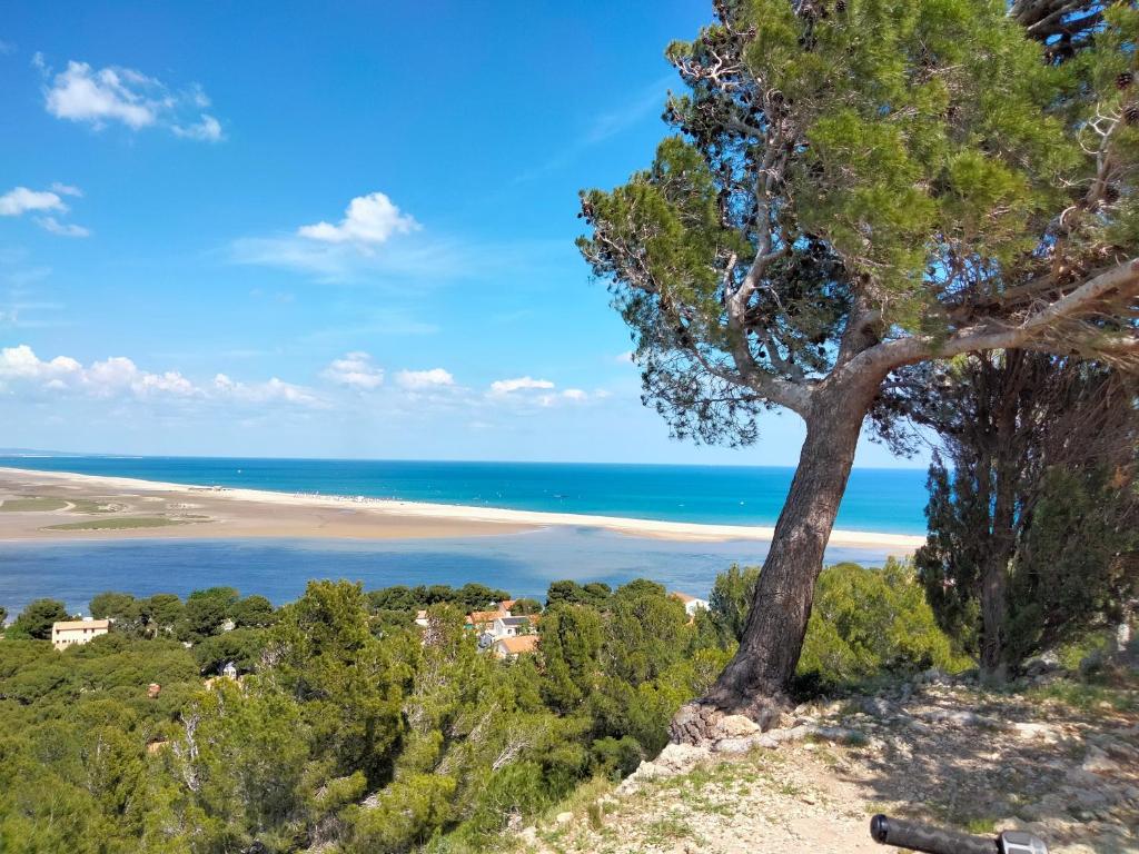 Appartement Joli T2 résidence naturiste ULYSSE Résidence Ulysse 11370 Leucate