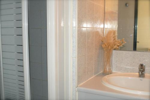 Joli T2 vue mer piscine Cap d'Agde SAVANNA BEACH I
