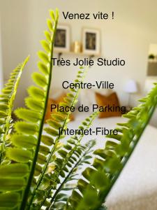 Jolie Studio Centre Ville