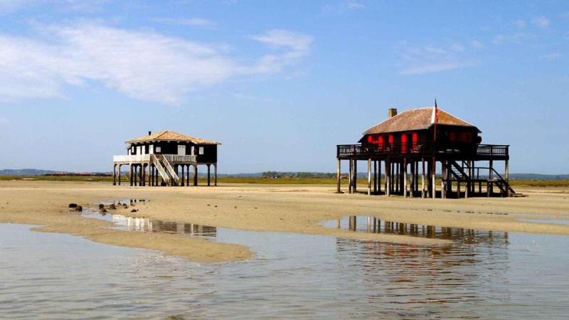 JOSEPHINE 79 Boulevard de la Plage, 33120 Arcachon
