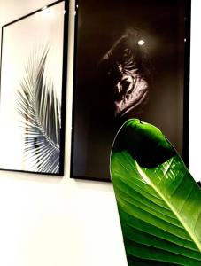 Jungle garage privé netflix