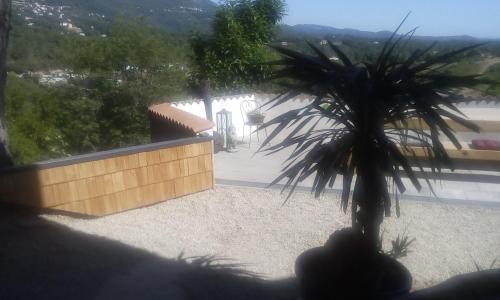 Kallista 2