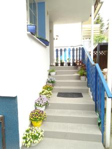 Katis‘Apartment