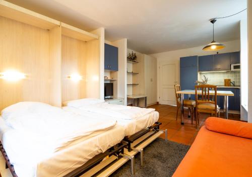 Klassik 1-Raum Appartement mit Terrasse B51