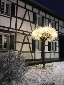 Appartement Kleine Fachwerkwohnung 18 Kottenforststraße 53347 Alfter Rhénanie du Nord - Westphalie