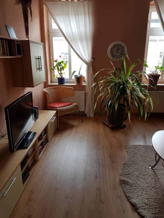 Appartement Kleine gemütliche Ferienwohnung Oschatzer Straße 25 01127 Dresde