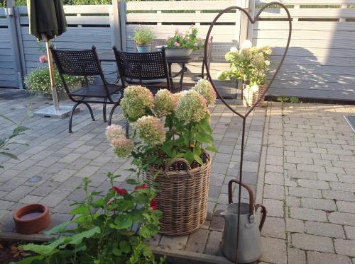 KLEINE LANDLIEBE