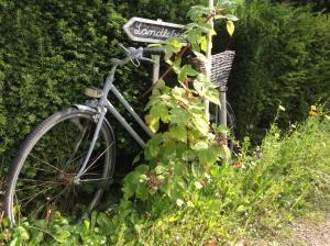 KLEINE LANDLIEBE