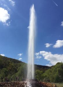Kleines Glück