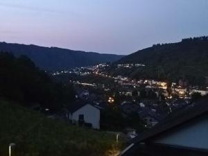 Appartement Kleines Moselchalet Vor Forst 33, EG 56812 Cochem Rhénanie-Palatinat