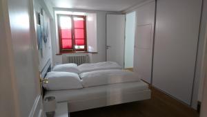 Appartement KMH Apartment 2 Im Süßen Winkel 1. Floor 79837 St. Blasien Bade-Wurtemberg