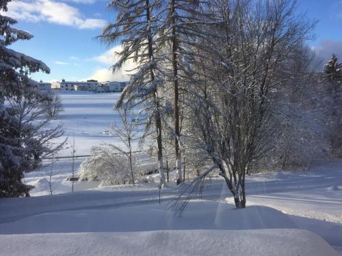 Koenigs Appartement mit Pool
