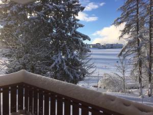 Koenigs Appartement mit Pool