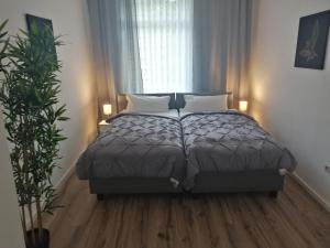 Kölsche Wohnung 2C