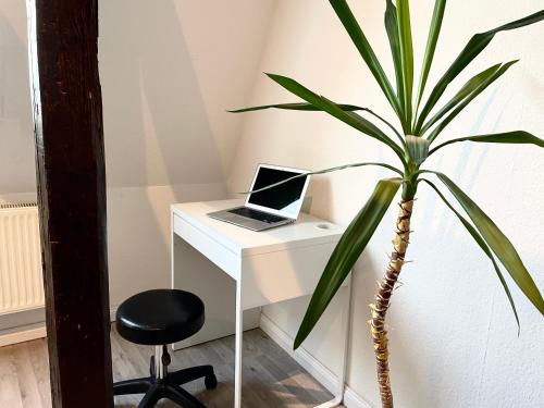 Komfortables Apartment nahe Hafen