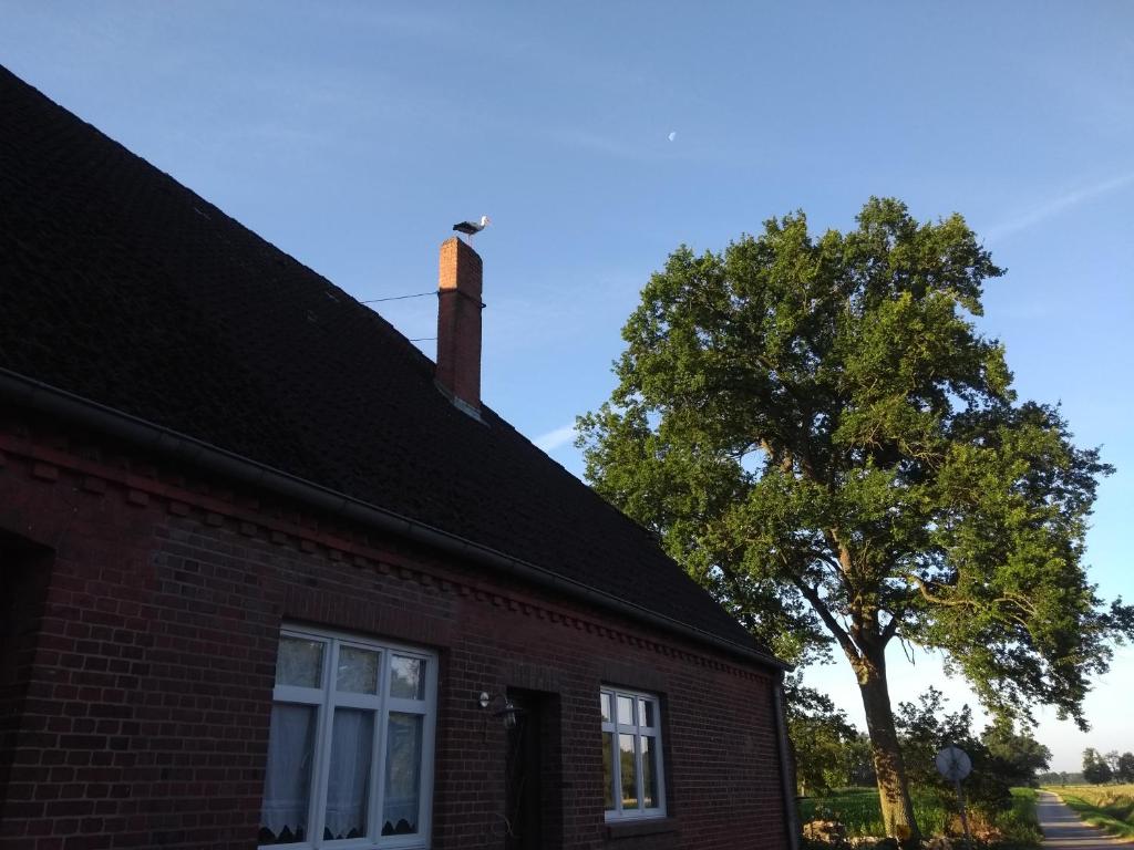 Krötenhof Barförde 4 Poggenort, 21522 Barförde