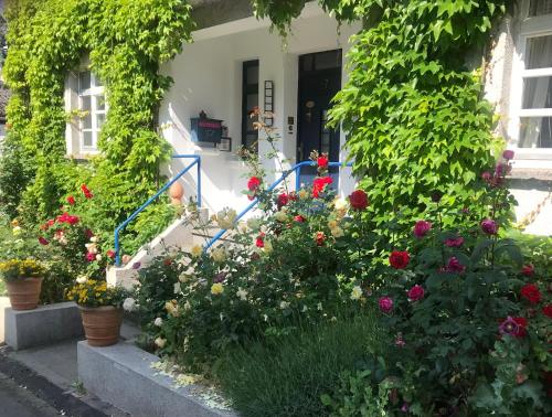 Kunsthaus mit Gartensauna