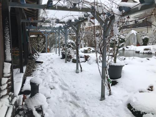 Kunsthaus mit Gartensauna
