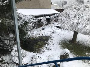 Kunsthaus mit Gartensauna