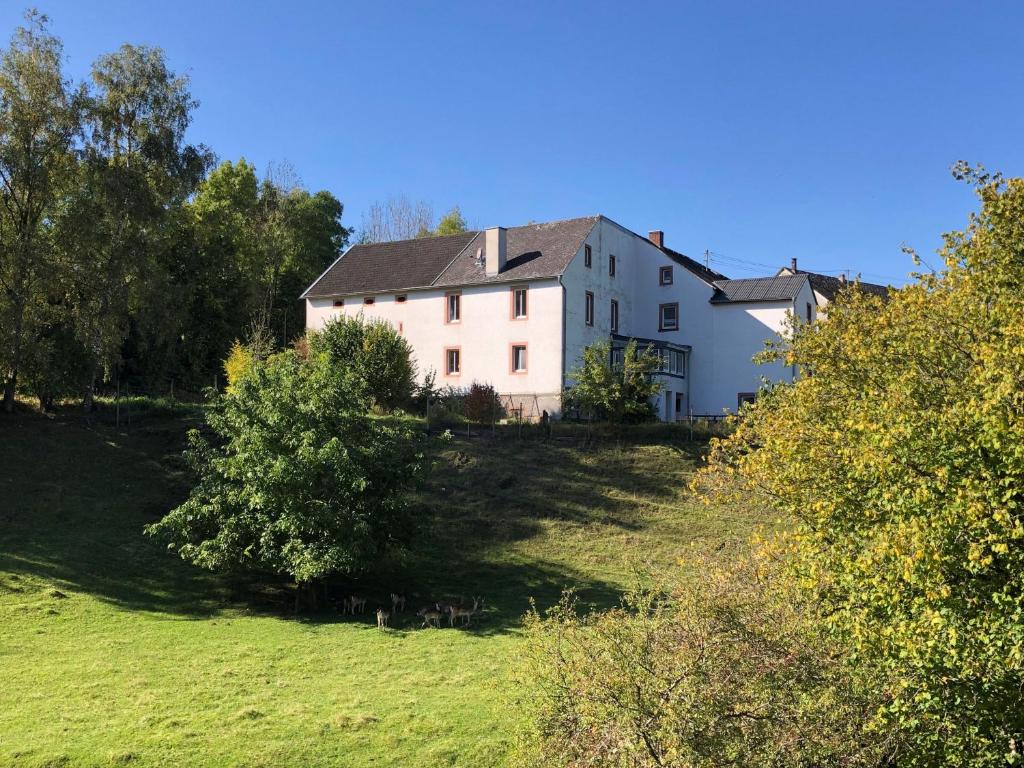 Appartement Künstlerhaus Rehblick 26 Dorfstraße 54570 Rockeskyll