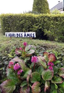 L'ABRI des ÂMES
