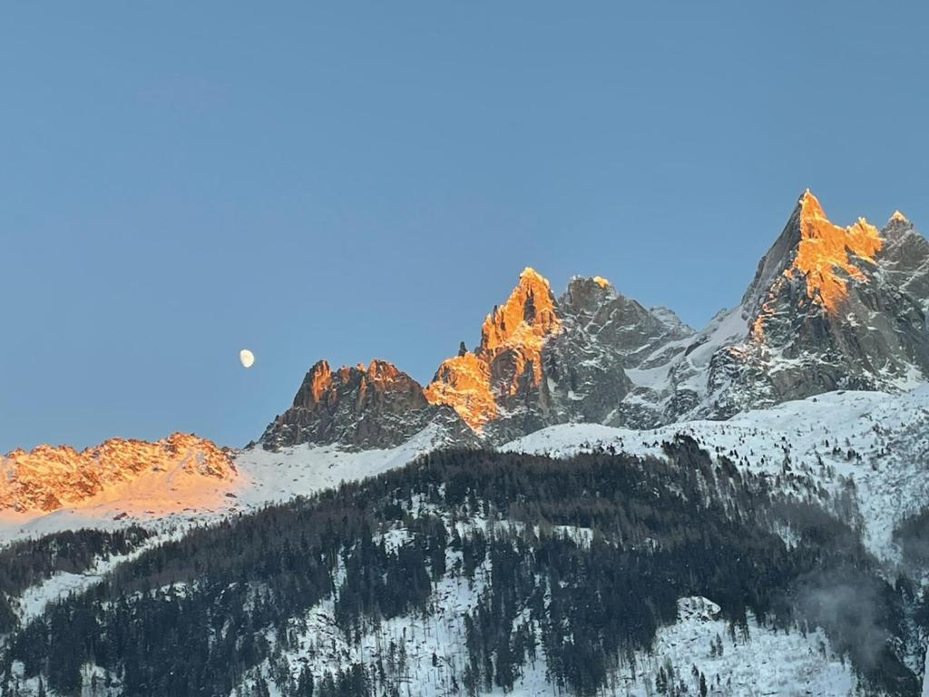 Appartement L'aiguille de L'M 22 Allée Louis Lachenal 74400 Chamonix-Mont-Blanc