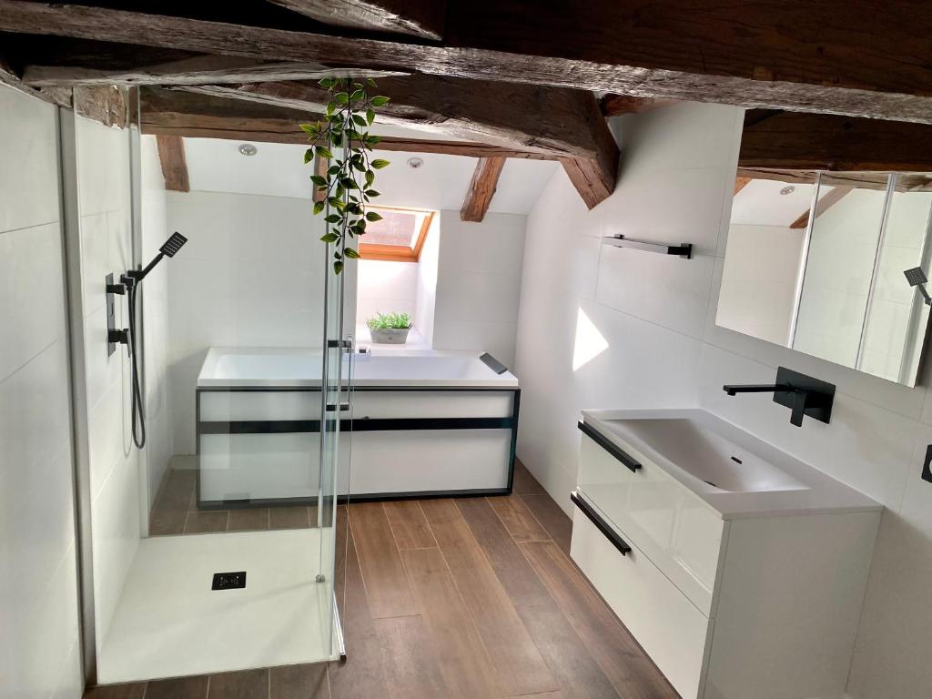 Appartement L'Albatros - cœur de vieille ville & bord de canal 1 Place Saint-François de Sales 74000 Annecy