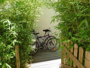 Appartement l'allerie studio 2 Rue des Vignerons a l'angle des cols vert 85340 Olonne-sur-Mer Pays de la Loire